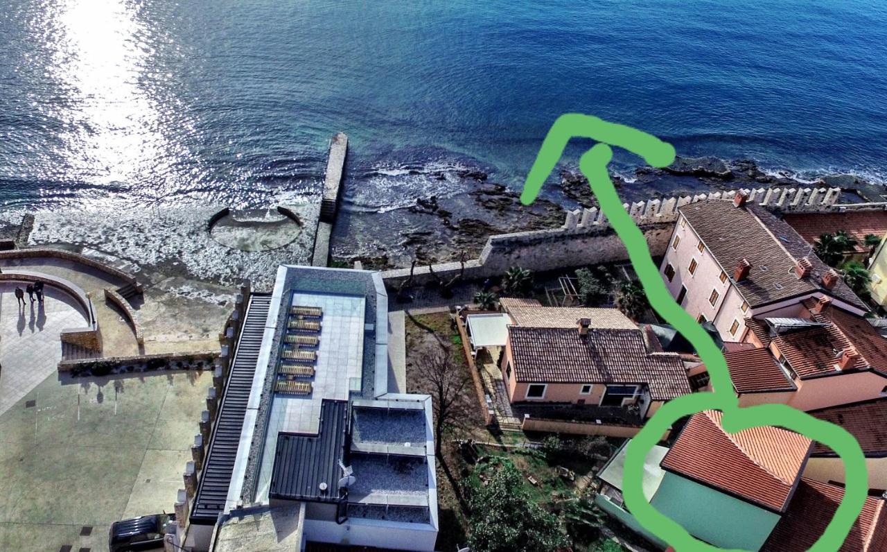 The Green House - 20M From The Beach Novigrad Istria Εξωτερικό φωτογραφία