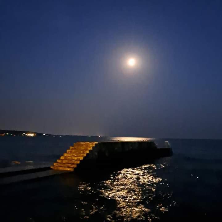 The Green House - 20M From The Beach Novigrad Istria Εξωτερικό φωτογραφία