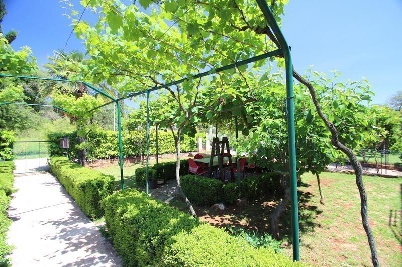The Green House - 20M From The Beach Novigrad Istria Δωμάτιο φωτογραφία