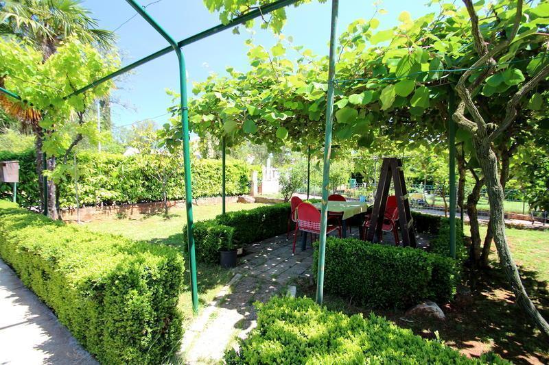 The Green House - 20M From The Beach Novigrad Istria Δωμάτιο φωτογραφία